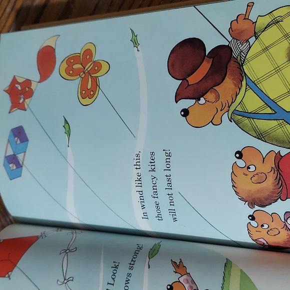 The Berenstain Bears And The Big Red Kite - Picture 10 of 14
